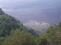 nte Rinatu-20110615 106